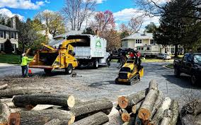 Best Emergency Tree Removal  in Ford City, CA